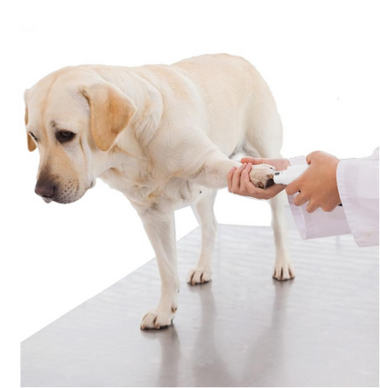 Electric Nail Grinder for Cats and Dogs, Rechargeable
